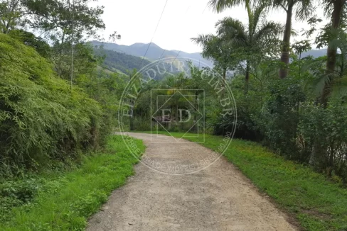 202404221111-terreno-lote-paraty-parque-bananal (2)