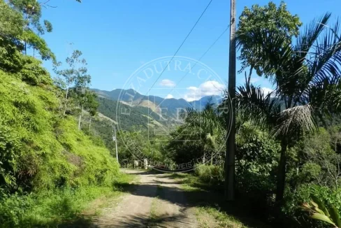 202404221111-terreno-lote-paraty-parque-bananal (4)